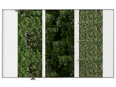 现代植物背景墙3d模型 现代植物背景墙