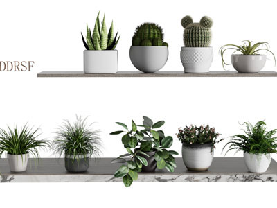 现代花盆盆景盆栽植物3d模型 现代花盆盆景盆栽植物