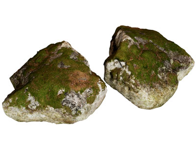 现代苔藓覆盖的石头 岩石 景观石头