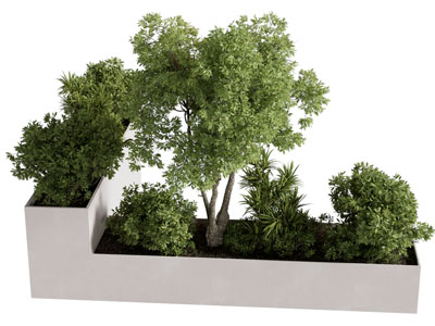 现代景观花池树木3d模型 现代景观花池树木