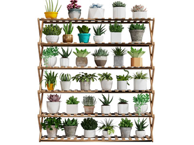 现代花架 花盆盆景盆栽植物3d模型 现代花架 花盆盆景盆栽植物