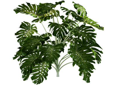 现代龟背竹植物盆景盆栽植物3d模型 现代龟背竹植物盆景盆栽植物