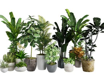 现代花盆盆景盆栽植物3d模型 现代花盆盆景盆栽植物