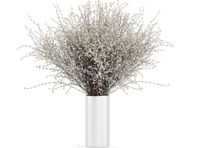 现代花瓶花卉3d模型 现代花瓶花卉