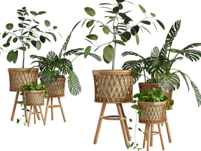 现代草编花盆盆景盆栽植物3d模型 现代草编花盆盆景盆栽植物