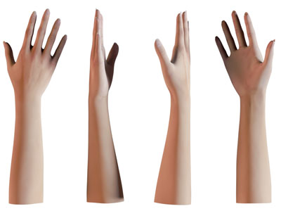 现代女人手臂 手掌3d模型 现代女人手臂 手掌
