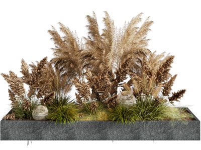 现代花坛花草盆景盆栽植物3d模型 现代花坛花草盆景盆栽植物