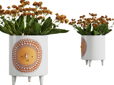 现代陶瓷花盆花卉盆景盆栽植物3d模型 现代陶瓷花盆花卉盆景盆栽植物