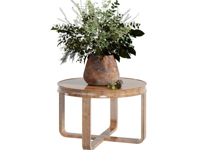 现代圆形边几 花瓶花卉3d模型 现代圆形边几 花瓶花卉