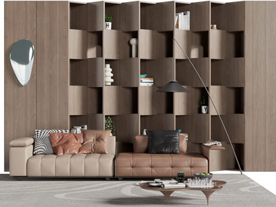 现代实木装饰柜 双人沙发和茶几组合