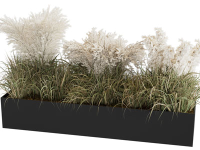 现代花箱花草植物盆景盆栽3d模型 现代花箱花草植物盆景盆栽