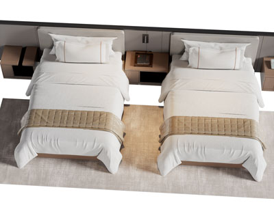 现代酒店双人间 双人床