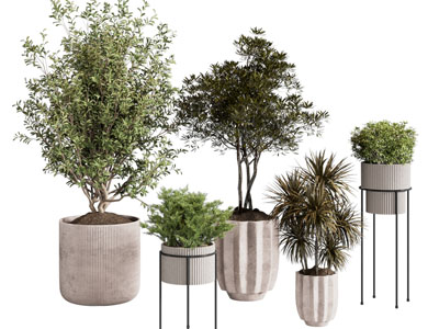 现代花盆盆景盆栽植物3d模型 现代花盆盆景盆栽植物