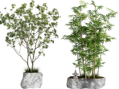 新中式竹子 花坛盆景盆栽植物3d模型 新中式竹子 花坛盆景盆栽植物