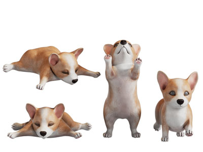 现代宠物狗 爬行动物