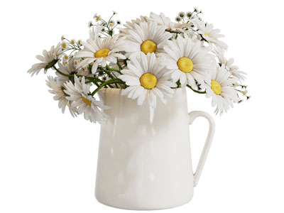 现代花瓶雏菊花卉 摆件组合3d模型 现代花瓶雏菊花卉 摆件组合