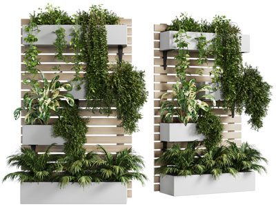 现代吊篮绿植 植物墙3d模型 现代吊篮绿植 植物墙