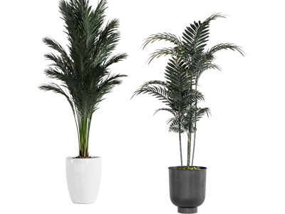 现代花盆盆景盆栽植物3d模型 现代花盆盆景盆栽植物