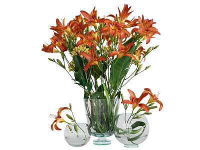 现代玻璃花瓶花卉3d模型 现代玻璃花瓶花卉
