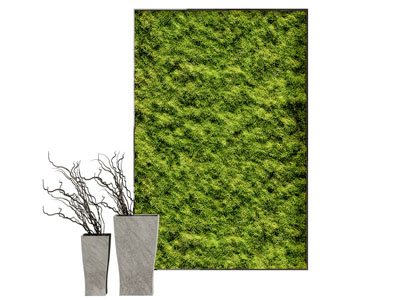 现代植物墙装饰挂画3d模型 现代植物墙装饰挂画