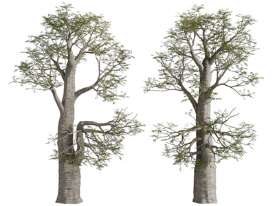 现代景观树木3d模型 现代景观树木