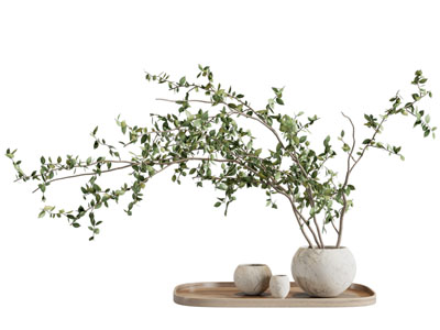 侘寂风花瓶花卉 托盘摆件组合3d模型 侘寂风花瓶花卉 托盘摆件组合