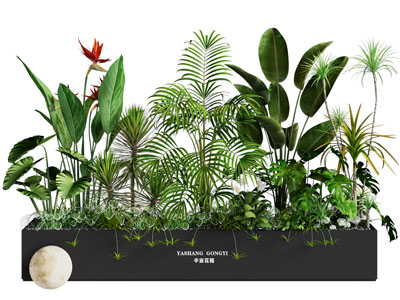 现代花箱植物盆景盆栽3d模型 现代花箱植物盆景盆栽