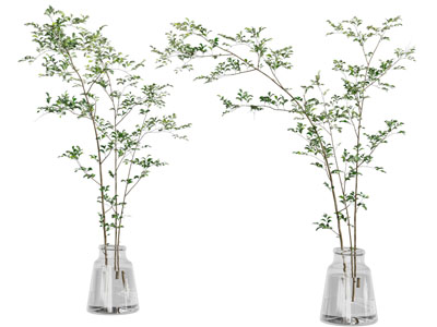 现代玻璃花瓶花卉3d模型 现代玻璃花瓶花卉