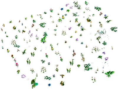 现代花草花卉植物3d模型 现代花草花卉植物