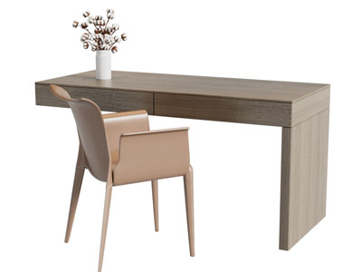 现代书桌椅组合3d模型 现代书桌椅组合