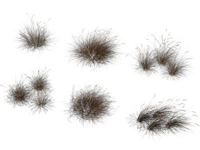 现代花草植物3d模型 现代花草植物