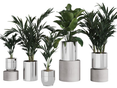 现代花盆盆景盆栽植物3d模型 现代花盆盆景盆栽植物