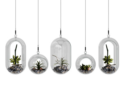 现代玻璃吊篮绿植 墙饰挂件3d模型 现代玻璃吊篮绿植 墙饰挂件