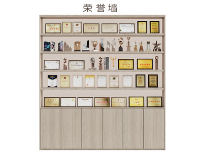 现代荣誉装饰柜 展柜