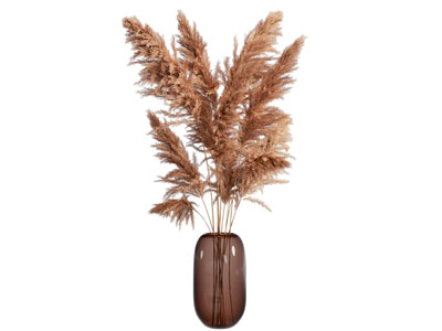 现代玻璃花瓶花卉3d模型 现代玻璃花瓶花卉