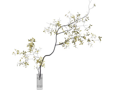 现代玻璃花瓶花卉3d模型 现代玻璃花瓶花卉