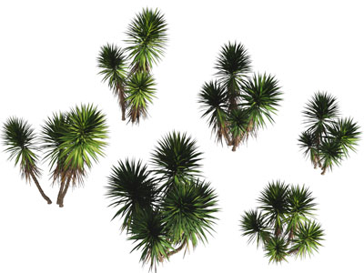 现代灌木丛植物3d模型 现代灌木丛植物