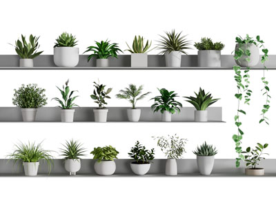 现代花盆盆景盆栽植物3d模型 现代花盆盆景盆栽植物