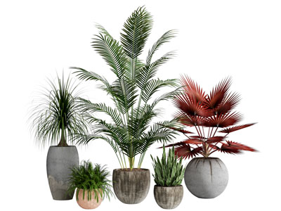 现代水泥花盆盆景盆栽植物3d模型 现代水泥花盆盆景盆栽植物