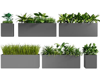 现代户外花箱盆景盆栽植物3d模型 现代户外花箱盆景盆栽植物