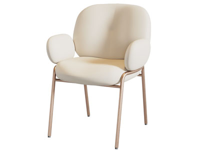 现代轻奢休闲椅子 餐椅