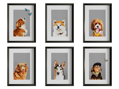 现代动物装饰挂画3d模型 现代动物装饰挂画