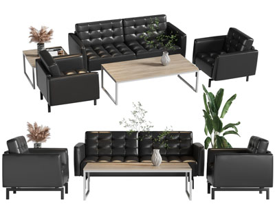 现代双人 单人沙发和茶几组合