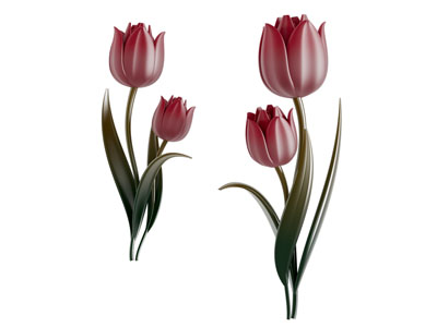 现代郁金香墙饰挂件