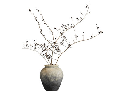 侘寂风陶艺花瓶花卉3d模型 侘寂风陶艺花瓶花卉