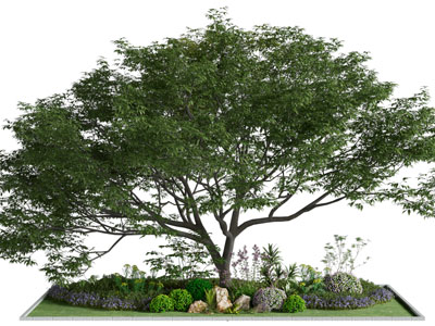 现代户外花池 景观树木 园艺小品