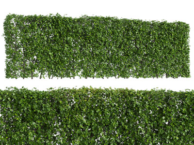 现代景观灌木植物丛3d模型 现代景观灌木植物丛