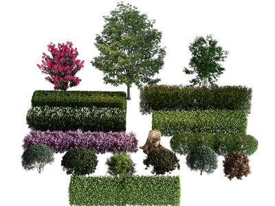 现代景观长方形灌木丛 花丛 树木植物3d模型 现代景观长方形灌木丛 花丛 树木植物