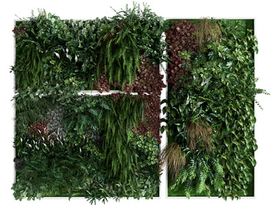 现代植物墙 植物挂画3d模型 现代植物墙 植物挂画