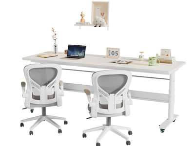 现代双位学生书桌椅组合3d模型 现代双位学生书桌椅组合